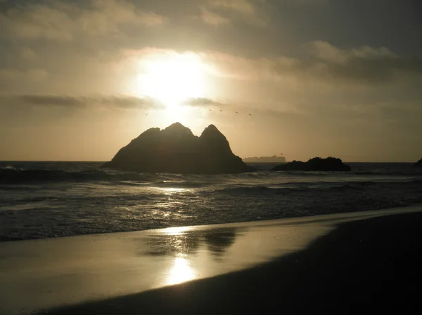 stock image Birds flying over seal rock with large cargo ship in the background at sunset