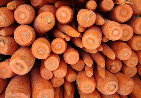 Avvicinamento delle estremità della carota — Foto Stock