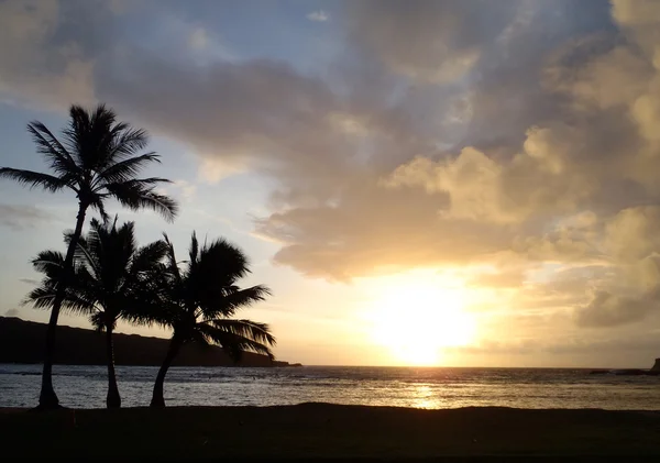 Vroege Ochtend Zonsopgang Boven Het Midden Van Hanauma Baai Oahu — Stockfoto