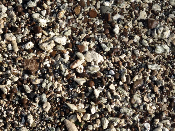 Kaya Çakıl Taş Beyaz Kahverengi Siyah Renk Oahu Bir Plajda — Stok fotoğraf