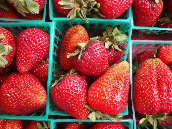 イチゴの農民市場でのバスケットに表示されます。 — ストック写真