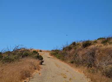 Kuş yıpranmış yol tepeye kuru Vegatation ile Angel Island üst yükselir.