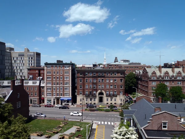 从钟楼上取下的哈佛校园景观 — 图库照片