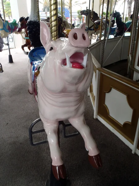 Ein schönes Schwein auf einer Karussellfahrt in einem Freizeitpark. — Stockfoto