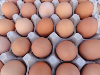 Brown eggs in large egg crate clipart