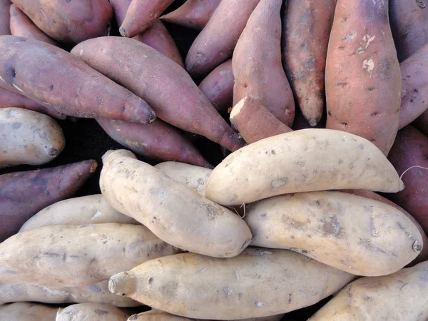 stock image Purple and White Yams for sale