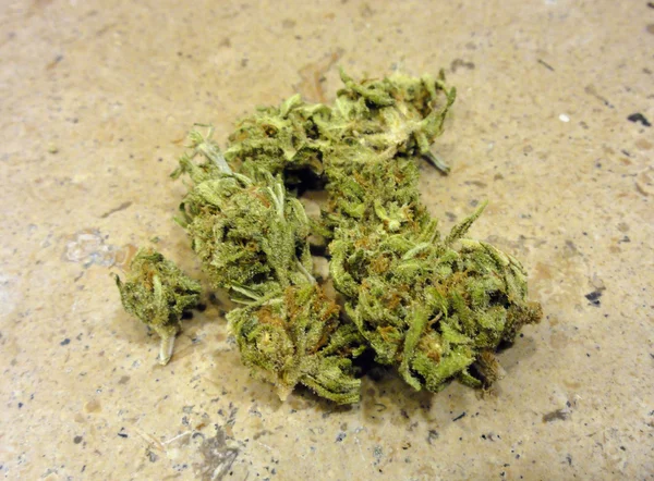 Small Marijuana nugs granite countertop — Stock Photo, Image