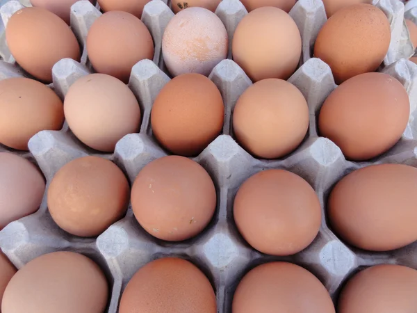 Коричневі яйця у великій яєчній ящиці — стокове фото