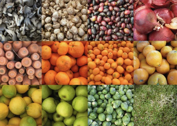 12 fotos de diferentes frutas y verduras — Foto de Stock