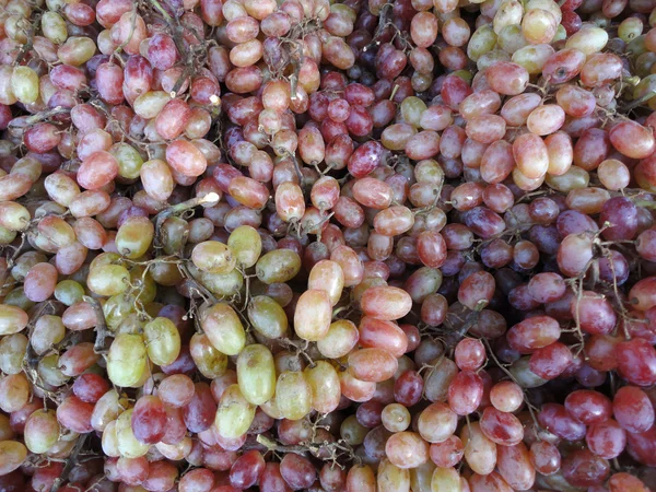 stock image Grapes that colors are amix of green and purple on display at fa