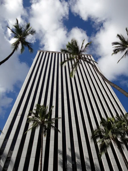 Mirando hacia arriba en el moderno edificio de oficinas en Honolulu con palmeras altas —  Fotos de Stock