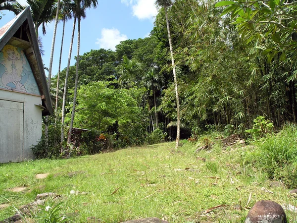 Pfad in kleinem Dorf in Palau — Stockfoto