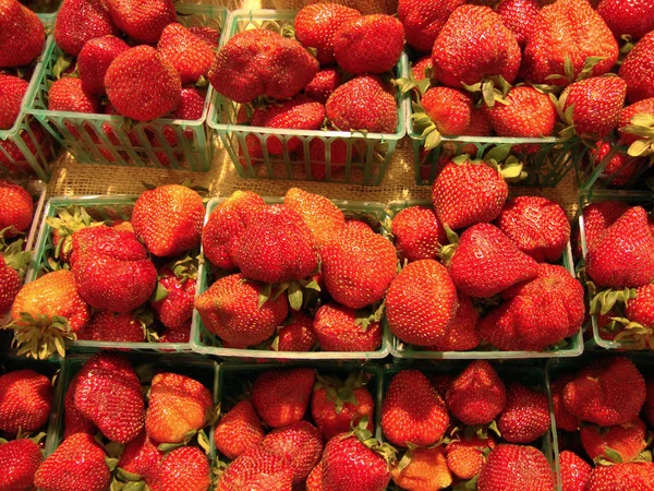 Erdbeerreihen in Plastikkörben ausgestellt — Stockfoto