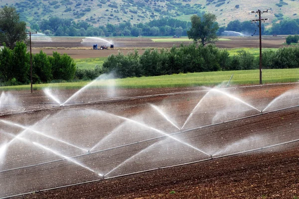 2.灌溉 — 图库照片