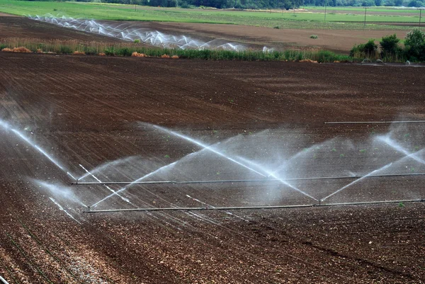 Irrigazione — Foto Stock