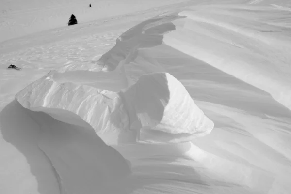 雪フォーム — ストック写真