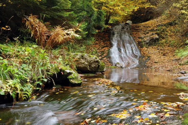 Водопад осенью — стоковое фото
