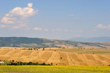 tarıma elverişli arazi