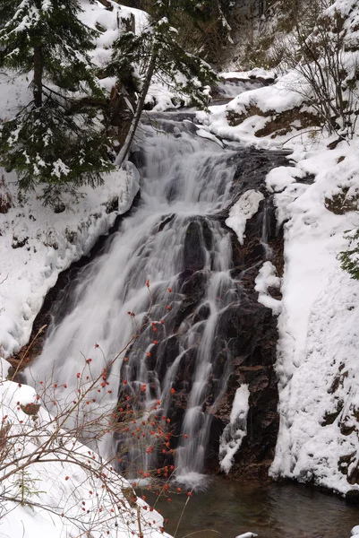 Chutes en hiver — Photo