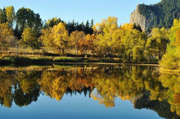 stock image Autumn Landscape