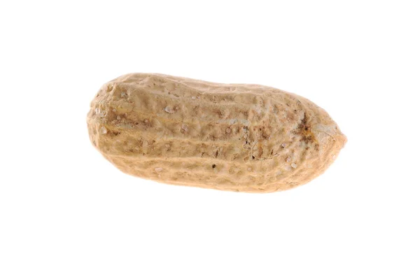 Cacahuètes — Photo