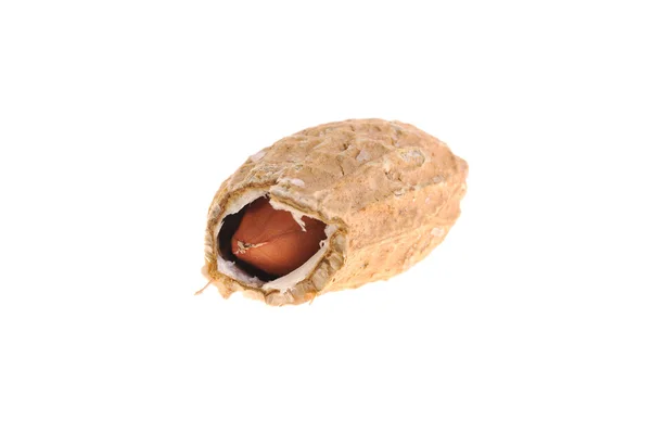 Amendoim — Fotografia de Stock