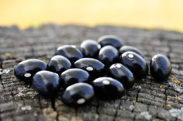 Black beans Royalty Free Stock Photos