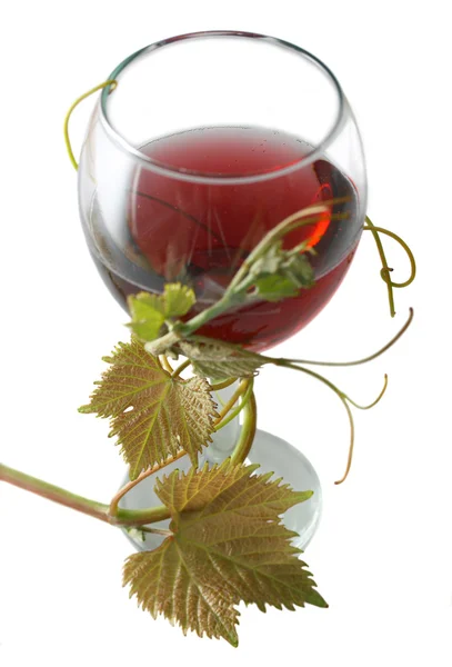 stock image Red wine with grape leave