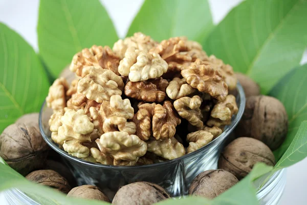 Walnuts Walnut Nuts Adn Leaves — Stock Photo, Image