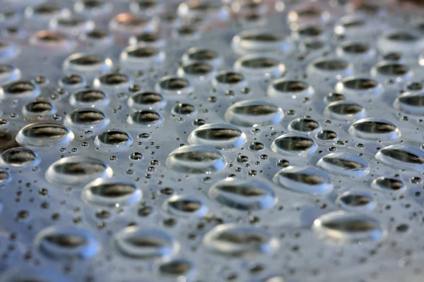 Water Drops Selective Focus — Stock Photo, Image