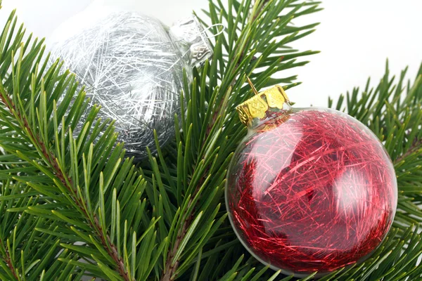 Дві Різдвяні Прикраси Бульбашки Сосновому Дереві — стокове фото