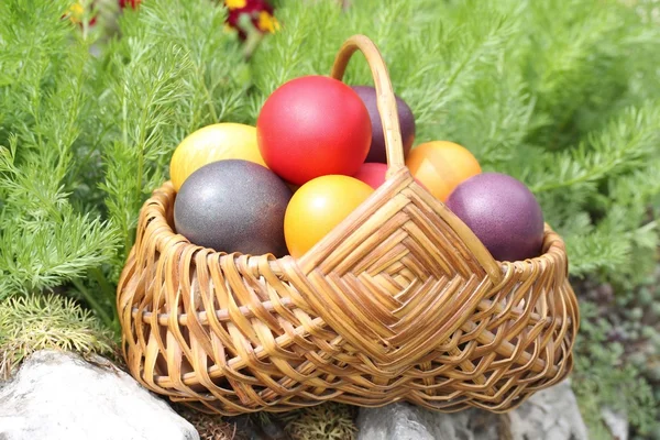 Paskalya Sepet Yumurta Dolu — Stok fotoğraf