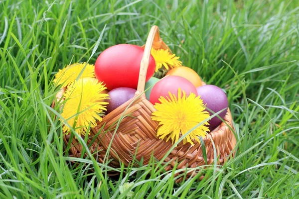 Sepet Dolusu Paskalya Yumurtası — Stok fotoğraf