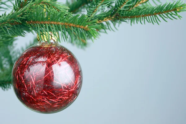 Czerwony Christmas Decoration Bańka Kilka Drzewo Sosnowe — Zdjęcie stockowe