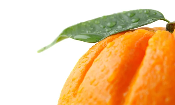 オレンジ、葉、水滴 — ストック写真