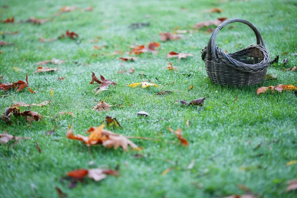 Cesto vuoto su erba con foglie orizzontale — Foto Stock