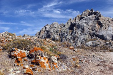 Rocky Dağı