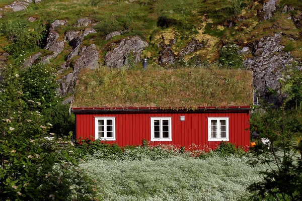 Czerwony dom drewniany — Zdjęcie stockowe