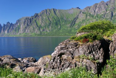 Rocky coast in Norway clipart