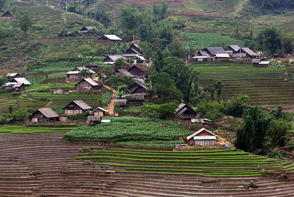 Vietnamese village — Stock Photo, Image