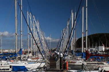 Yachts in port of Horta clipart