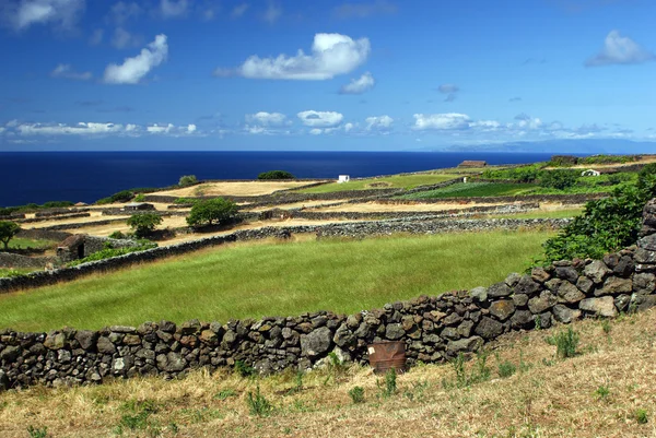 Felder auf der Insel São Jorge — Stockfoto