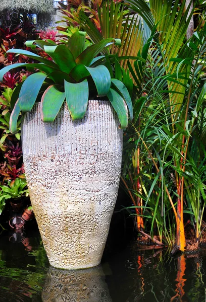 Terracotta Pot — Stock Photo, Image