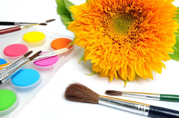 Sunflower and paintbox — Stock Photo, Image