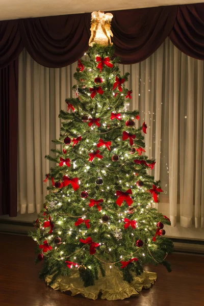 Kerstboom Stockfoto