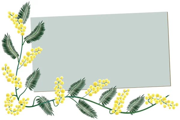 Mimosa border - Greeting card — Stock Vector