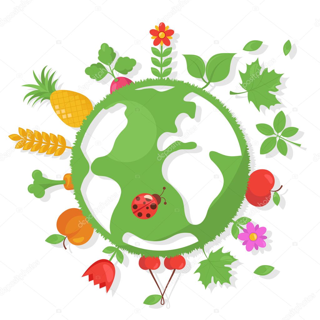 Various Fruits and Vegetables around the World
