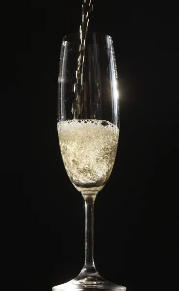 stock image Champagner