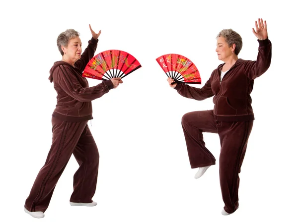Starší žena, která dělá jóga cvičení tai chi — Stock fotografie