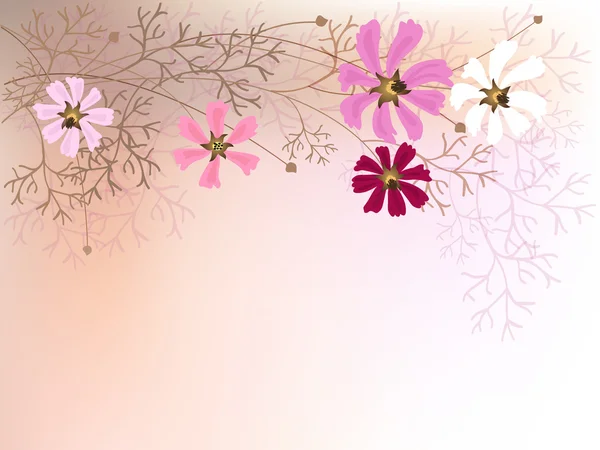 科斯梅亚鲜花 — 图库矢量图片